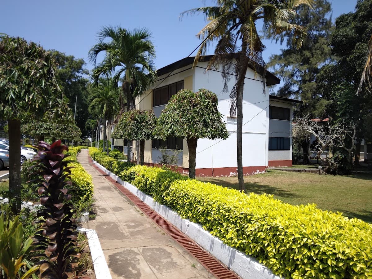 Little Legon · Study & BQ